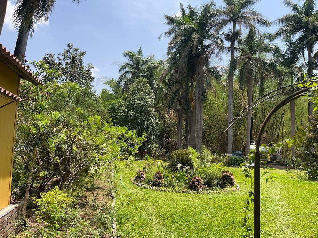 Waghai Botanical Garden-Saputara必去景点