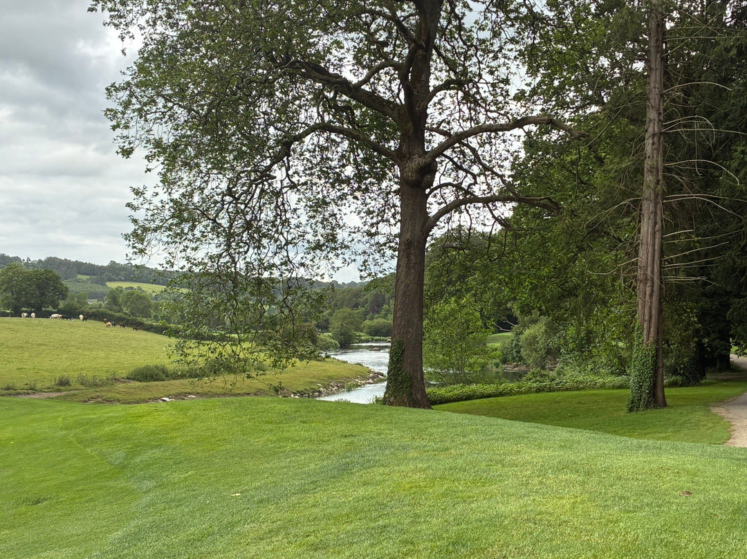 Bunclody Golf and Fishing Club-韦克斯福德必去景点