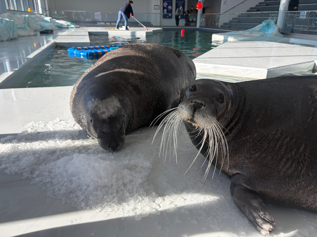 北极星水族馆-特罗姆瑟必去景点