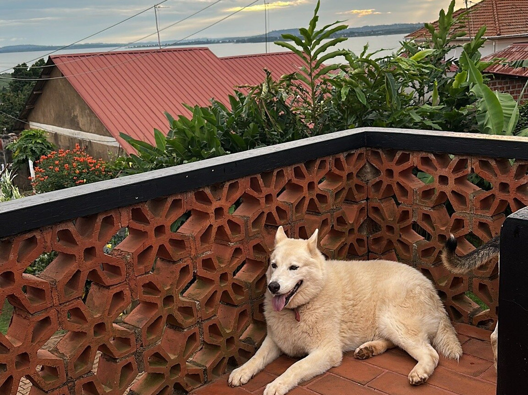 Panga Chumvi Beach Resort主图