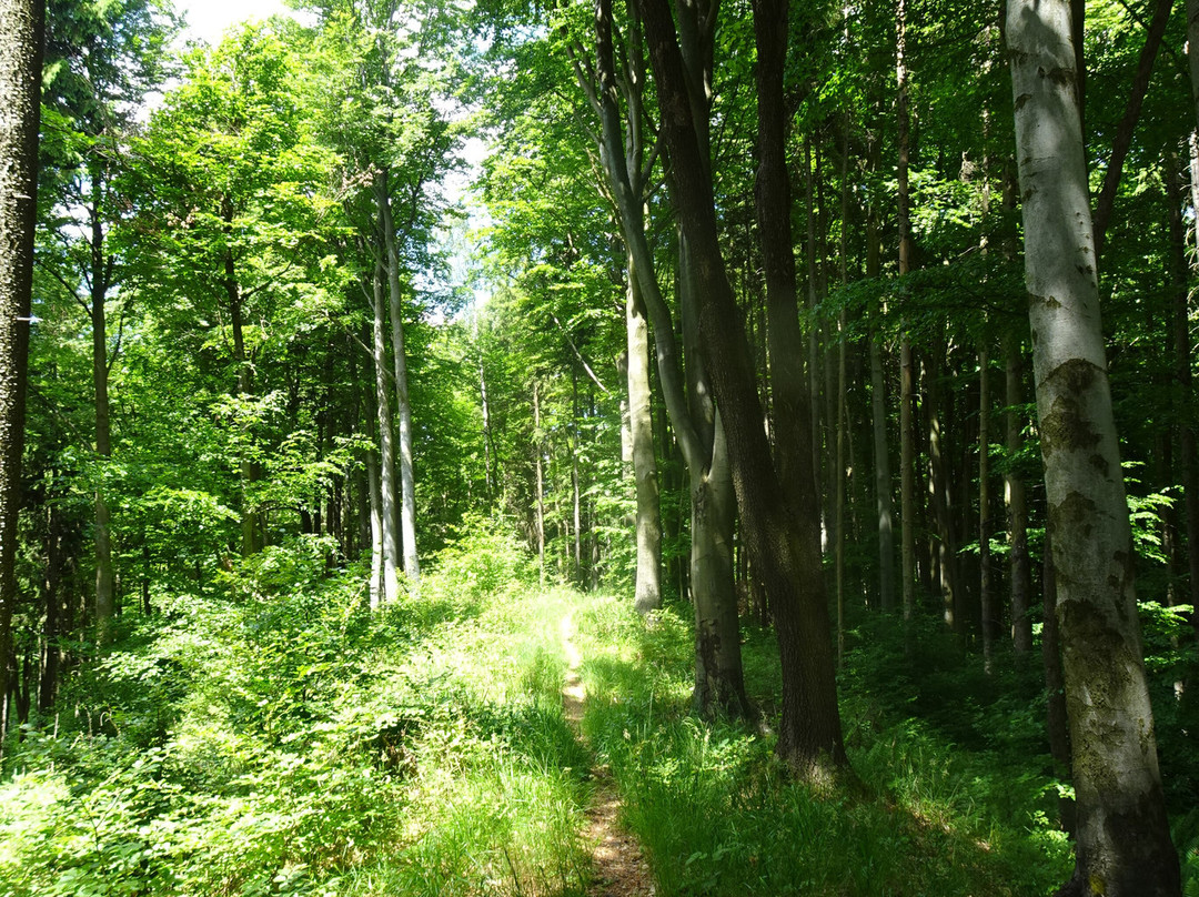 Sudety Wałbrzyskie Landscape Park-Lower Silesia Province必去景点