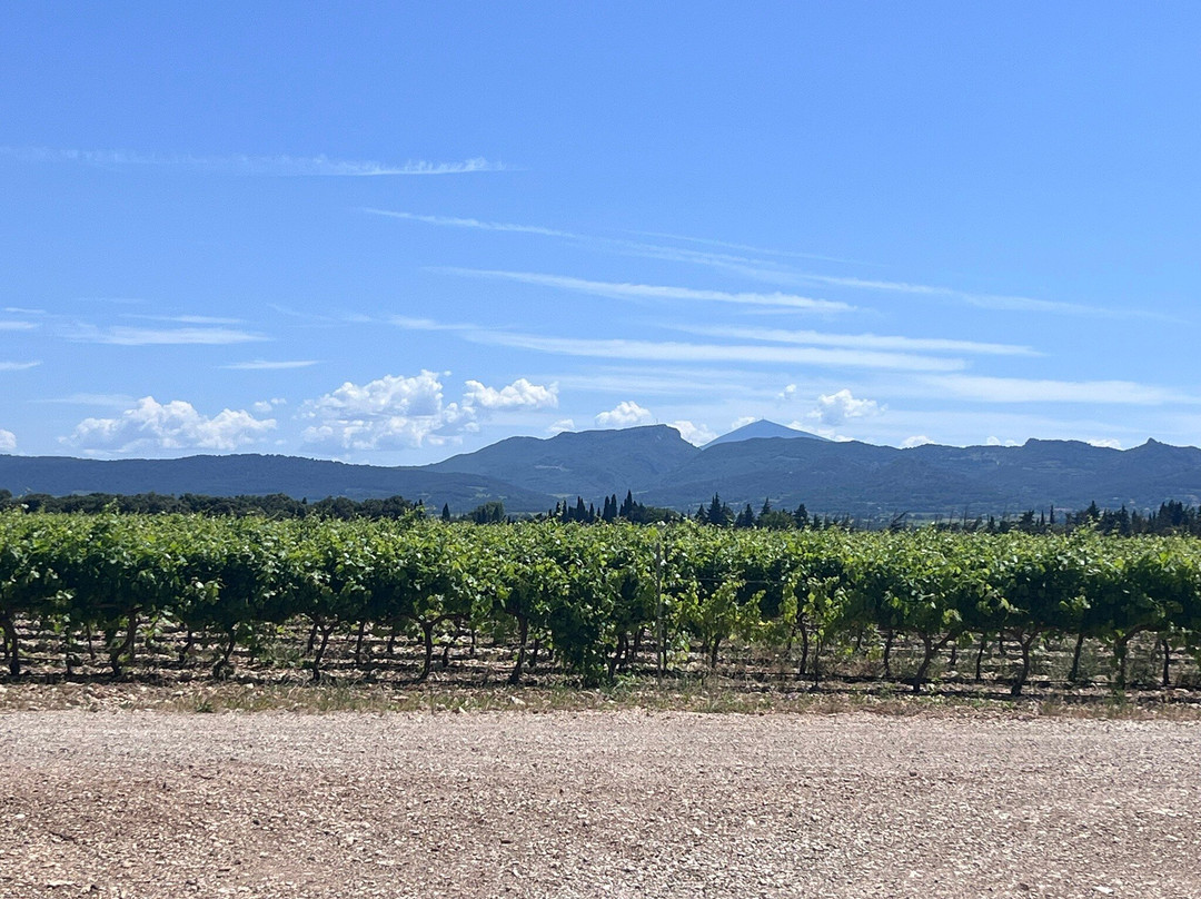Tours du Rhone-Sorgues必去景点