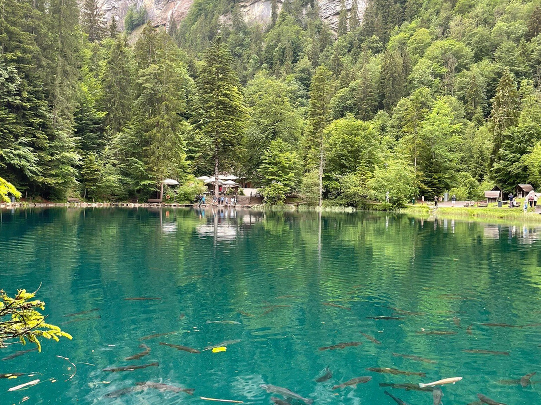 Nature Park Blausee-Blausee-Mitholz必去景点