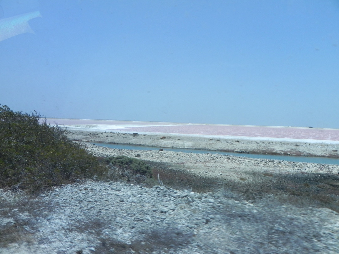 Salt Pier-Kralendijk必去景点