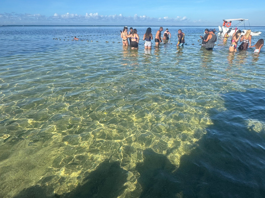 Piscinas Naturais De Pajucara-Maceio必去景点