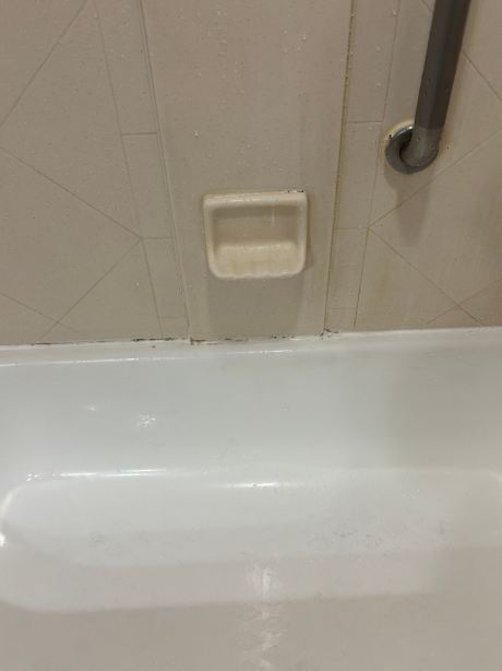 诺福克切萨皮克欢朋酒店-旅行者