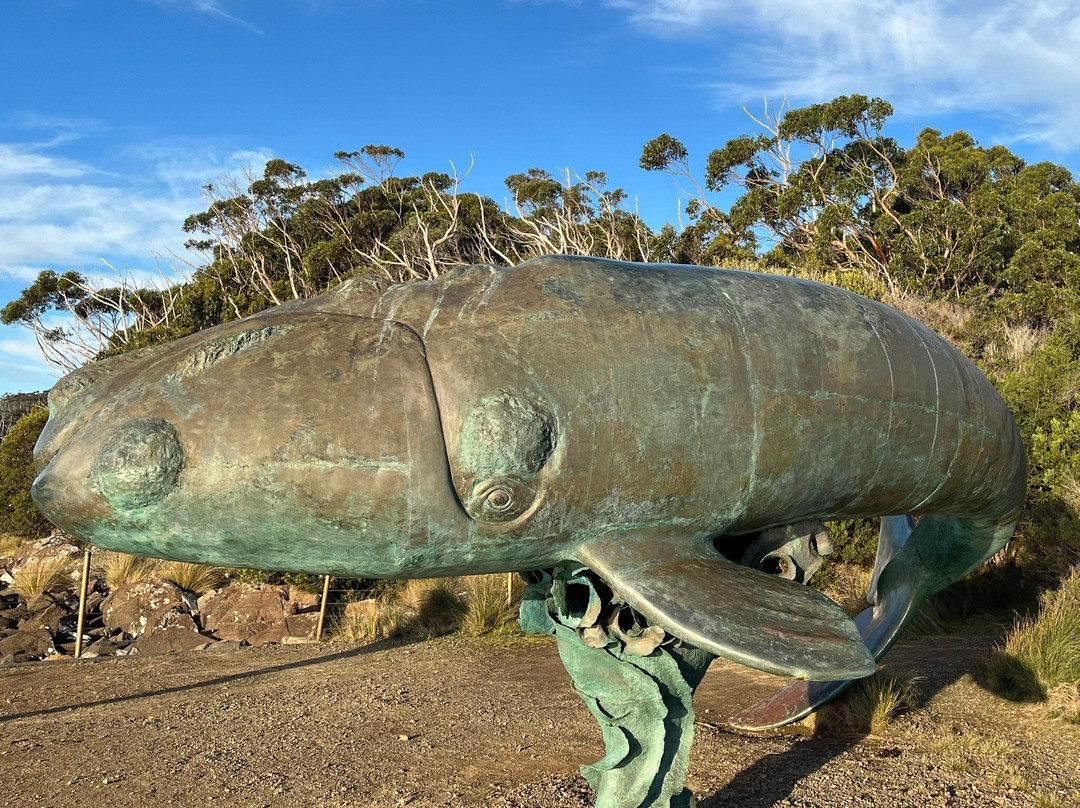 Southern Right Whale Sculpture-Southport必去景点