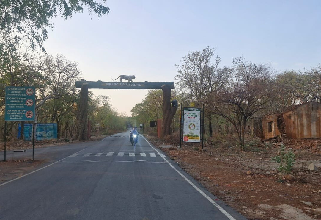 Nagarjunsagar-Srisailam Tiger Reserve-Kurnool必去景点