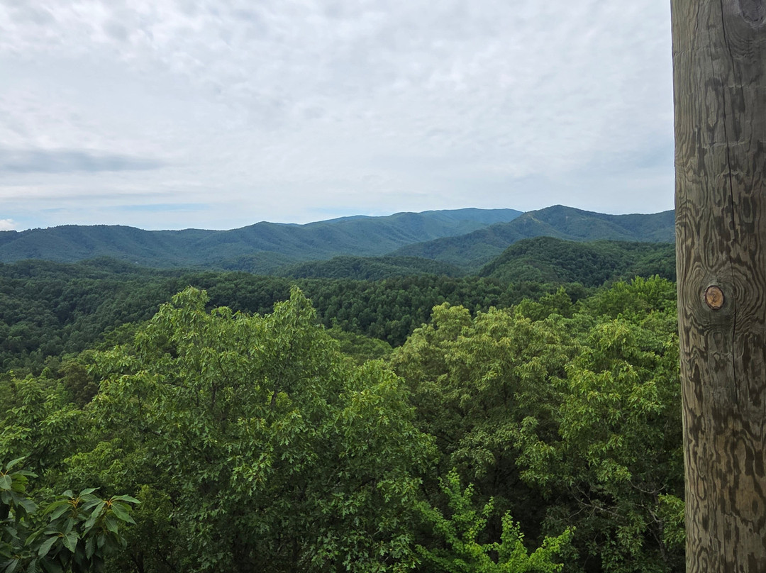 Smoky Mountain Ziplines-皮金福奇必去景点