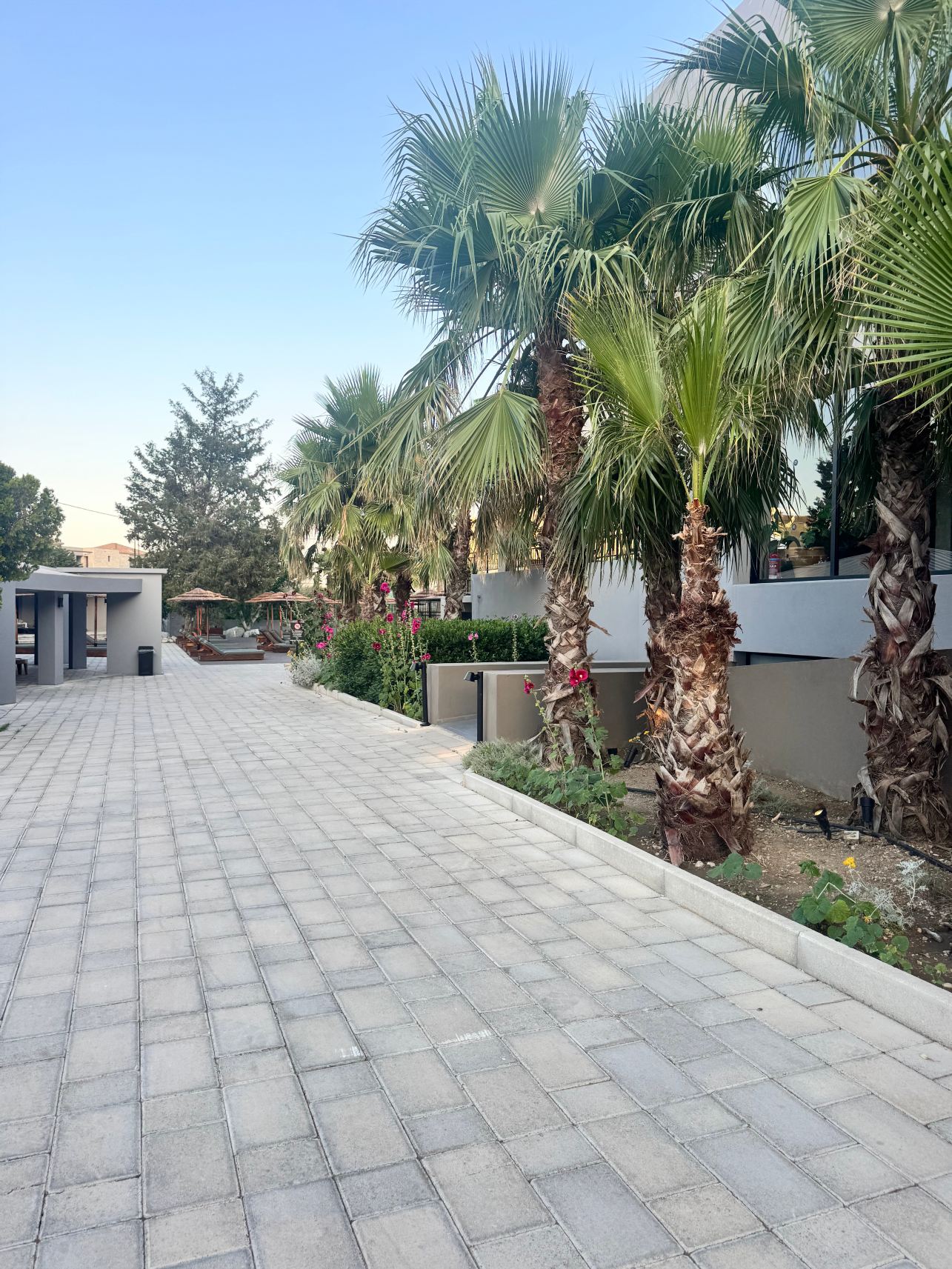 Cook's Club Kolymbia - 限成人-旅行者