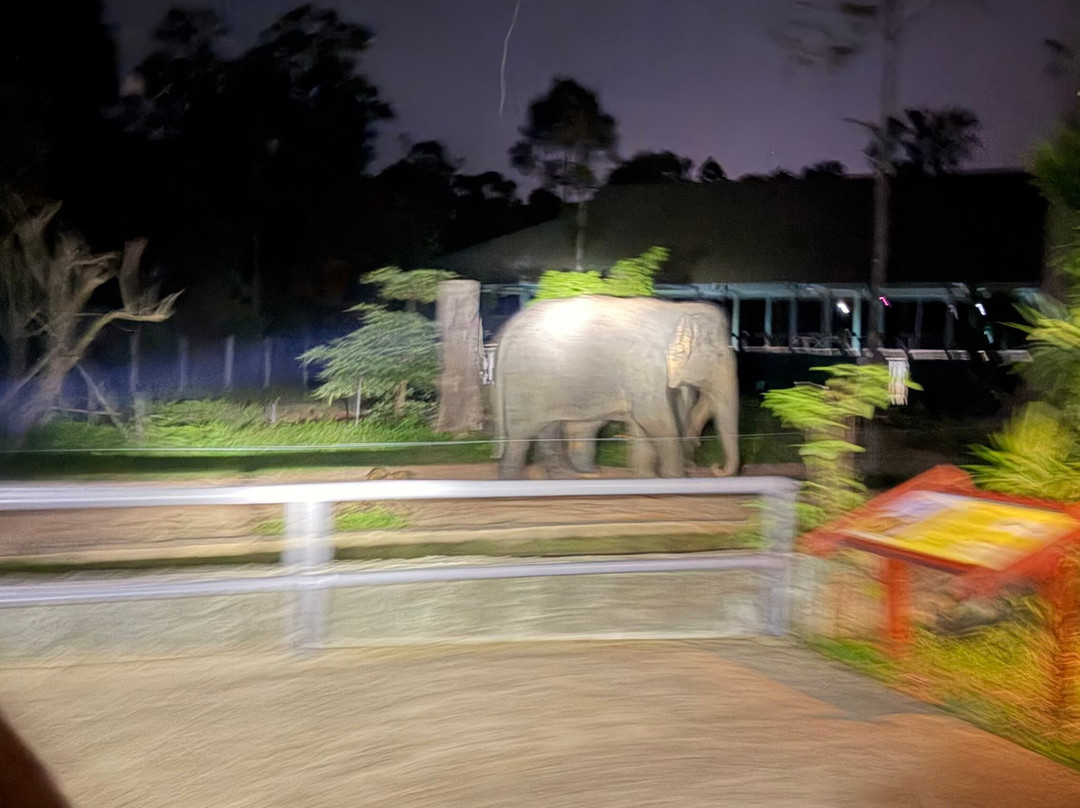 珍珠王国野生动物园-富国岛必去景点