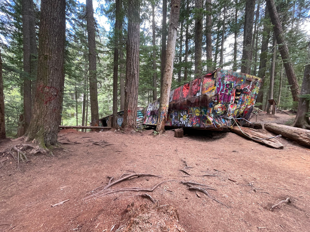 The Whistler Train Wreck Trail-惠斯勒必去景点