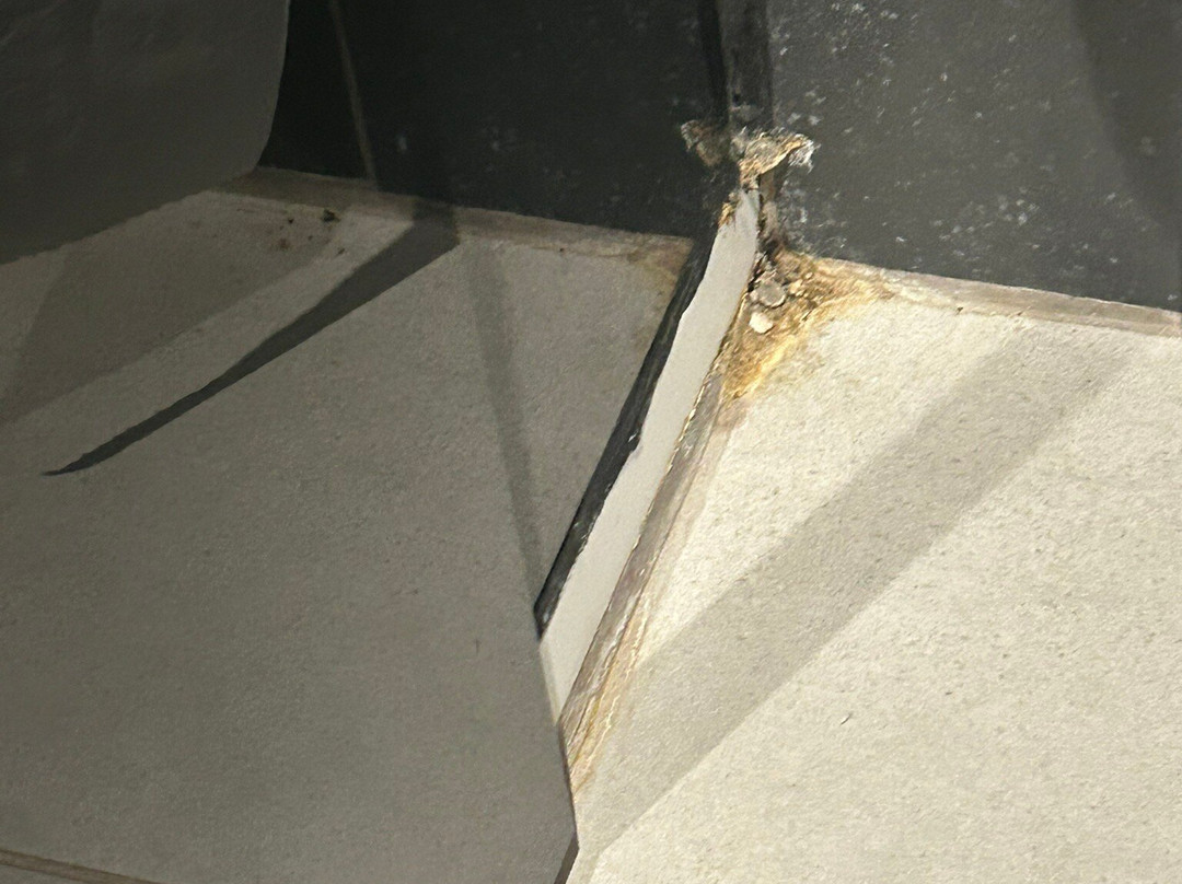 玛雷诺斯特罗姆维布拉酒店主图