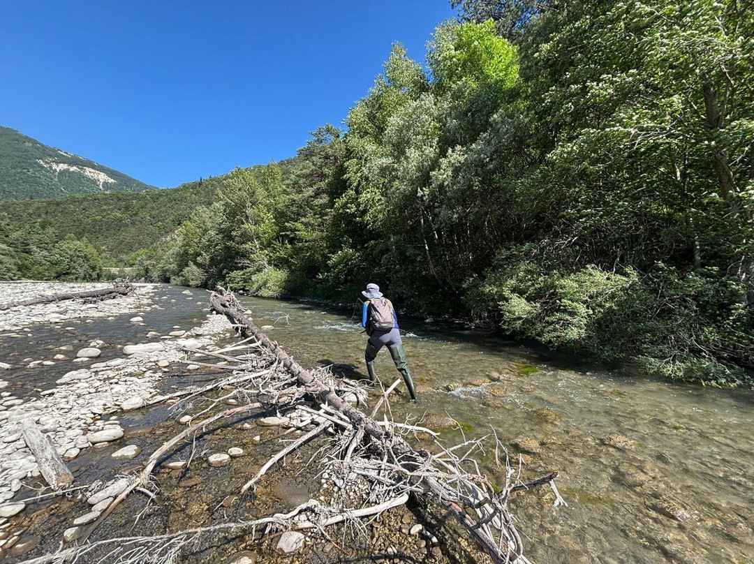 Riviera fly-fishing-Roquefort les Pins必去景点