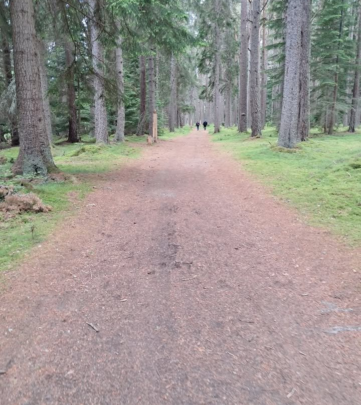 Balmoral Castle-巴拉特必去景点