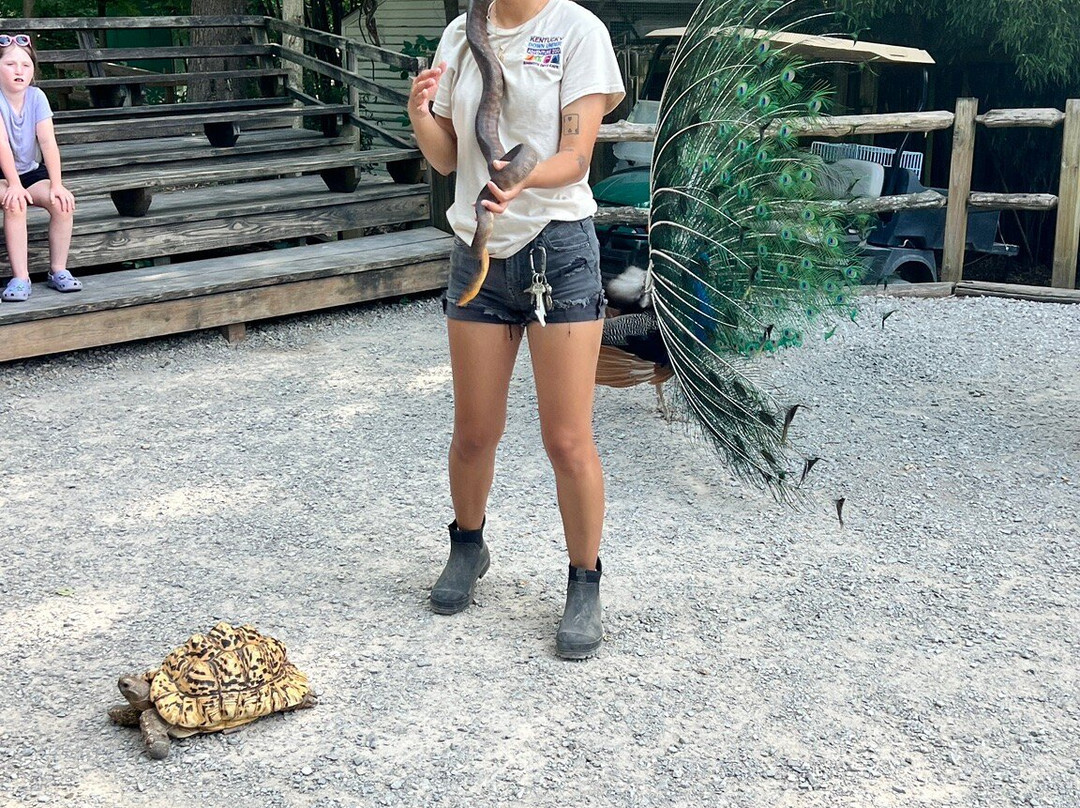 Kentucky Down Under Adventure Zoo-Horse Cave必去景点
