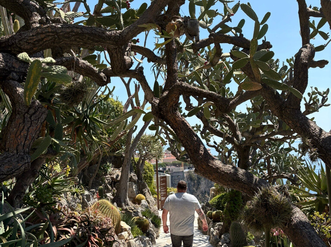 Jardin Exotique de Monaco-摩纳哥城必去景点