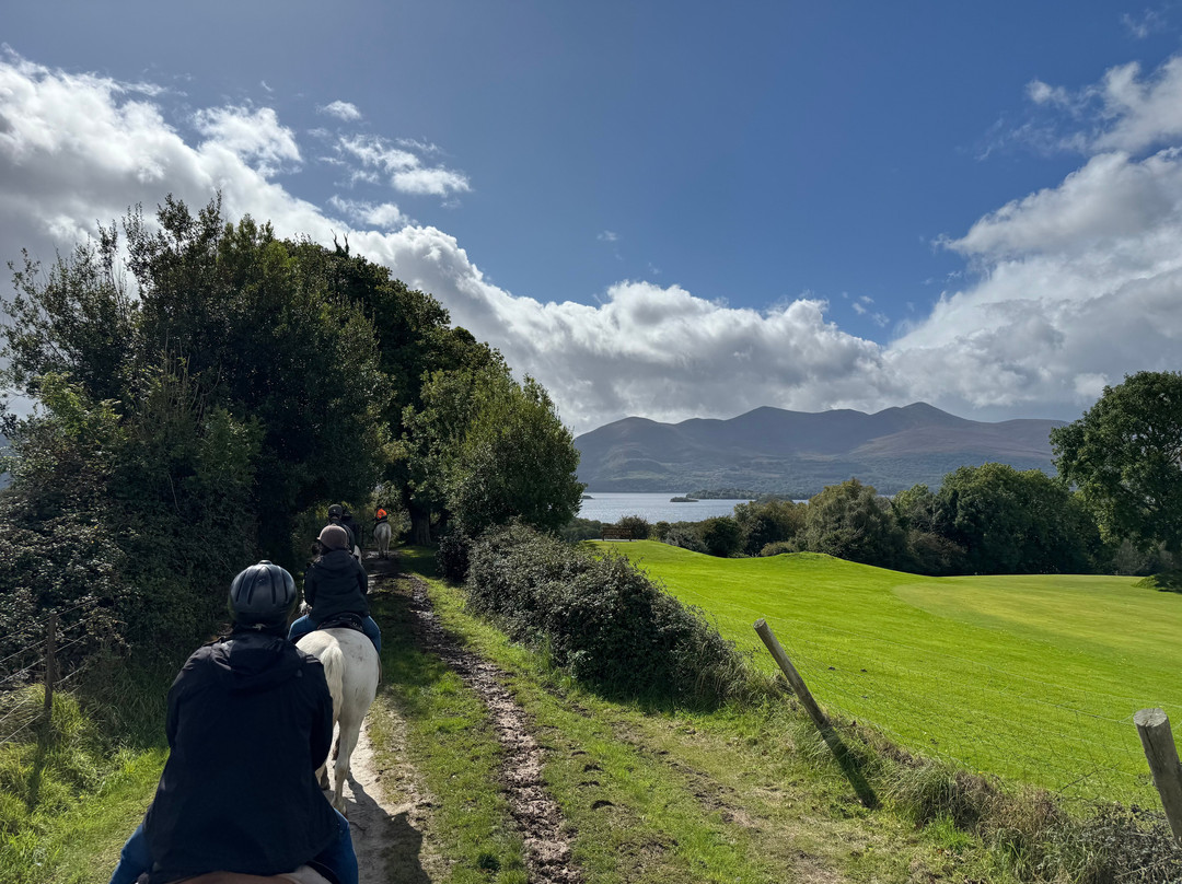Killarney Riding Stables-基拉尼必去景点