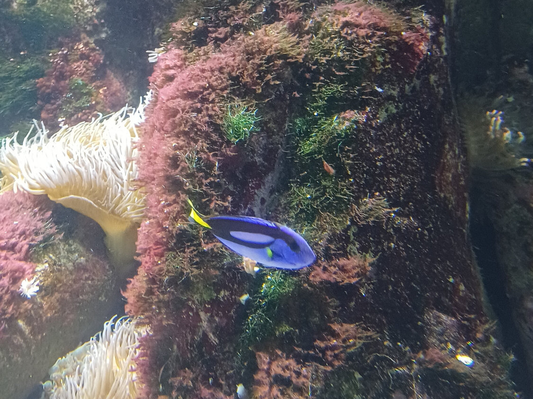 Aquarium La Rochelle-拉罗谢尔必去景点