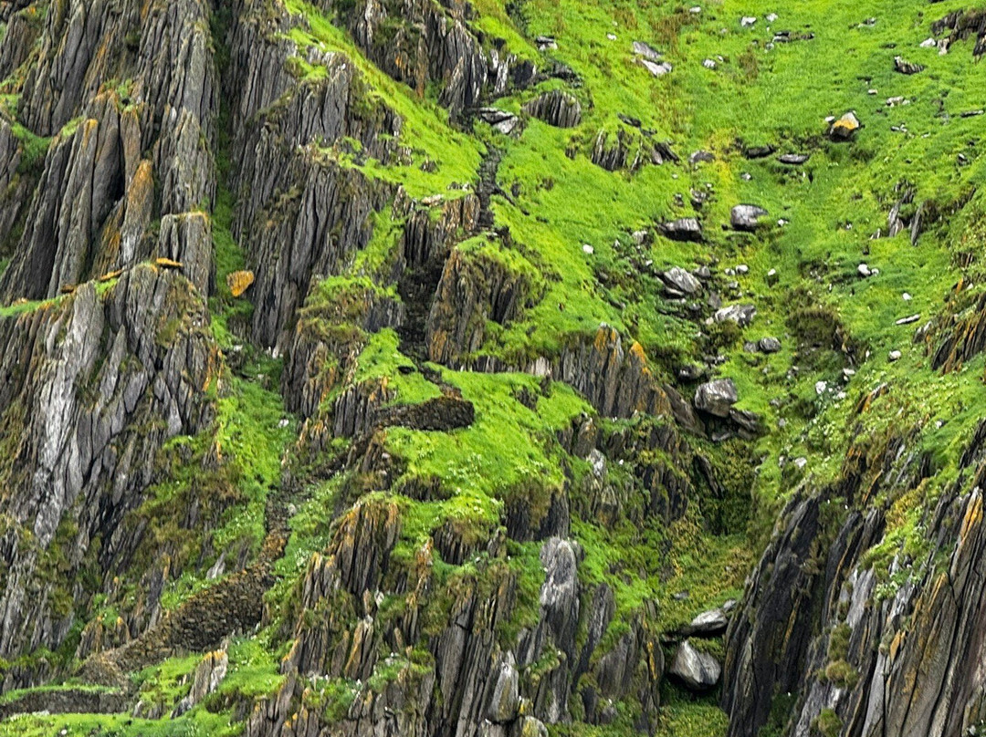 Skellig Tours-Caherdaniel必去景点