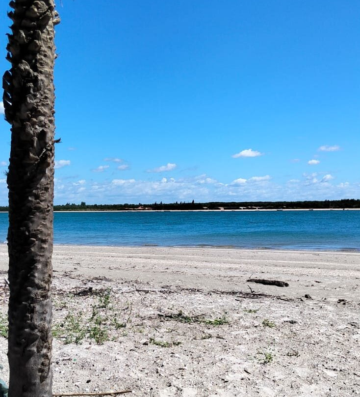 Guará Transfer & Tourism - Barra Grande-Barra Grande必去景点