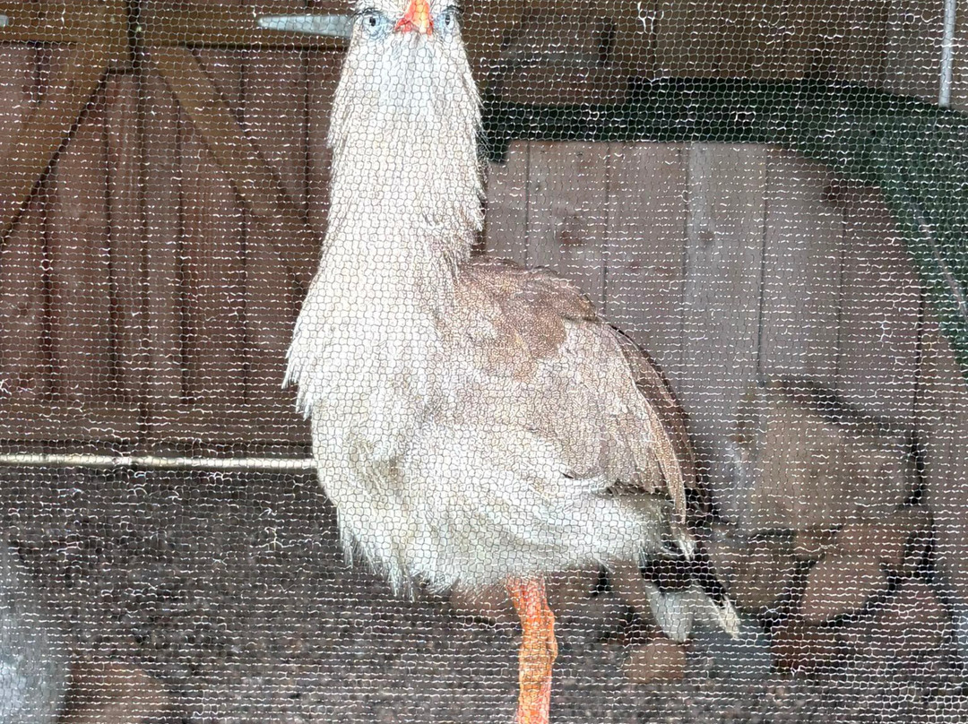 The Scottish Deer Centre-库珀必去景点