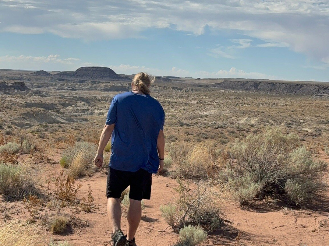 Painted Desert-石化林国家公园必去景点