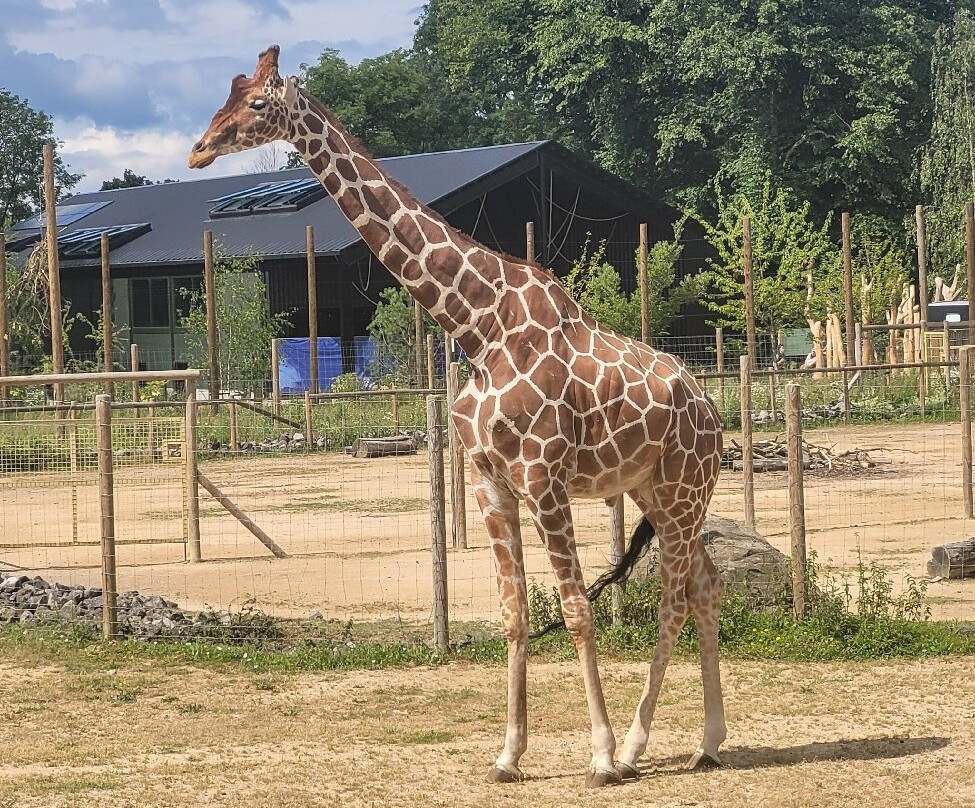 Bristol Zoo Project-Easter Compton必去景点