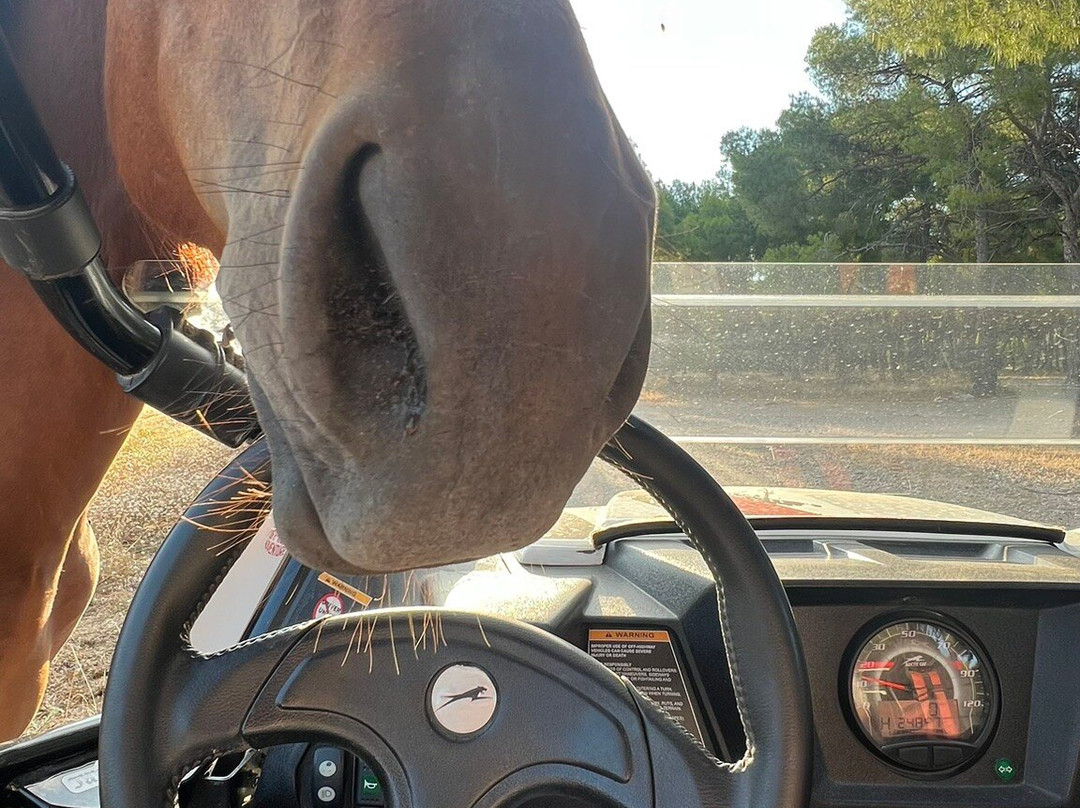 Salamina Off Road Adventures