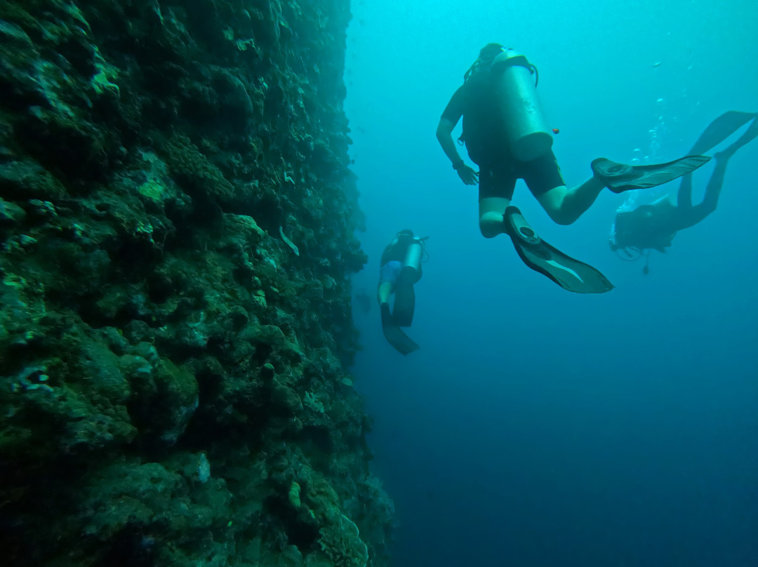Scubatek Tahiti-阿鲁埃必去景点