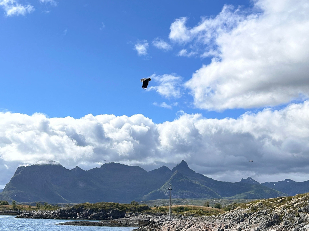 Go2Lofoten-斯沃尔韦尔必去景点