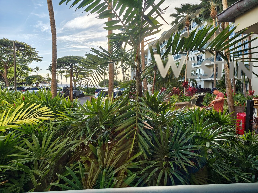 The Westin Ka'Anapali Ocean Resort Villas主图