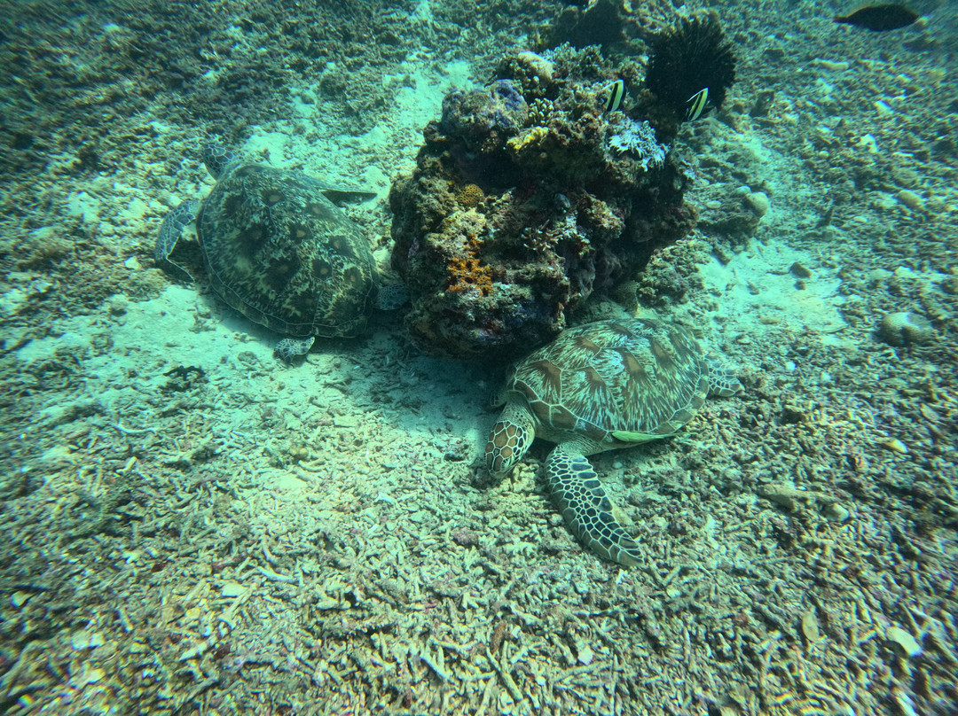 Meno Dive Club-Gili Meno必去景点
