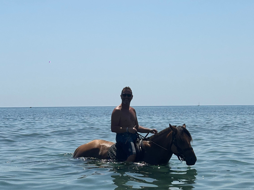 Aux Poneys d Eden-Canale-di-Verde必去景点
