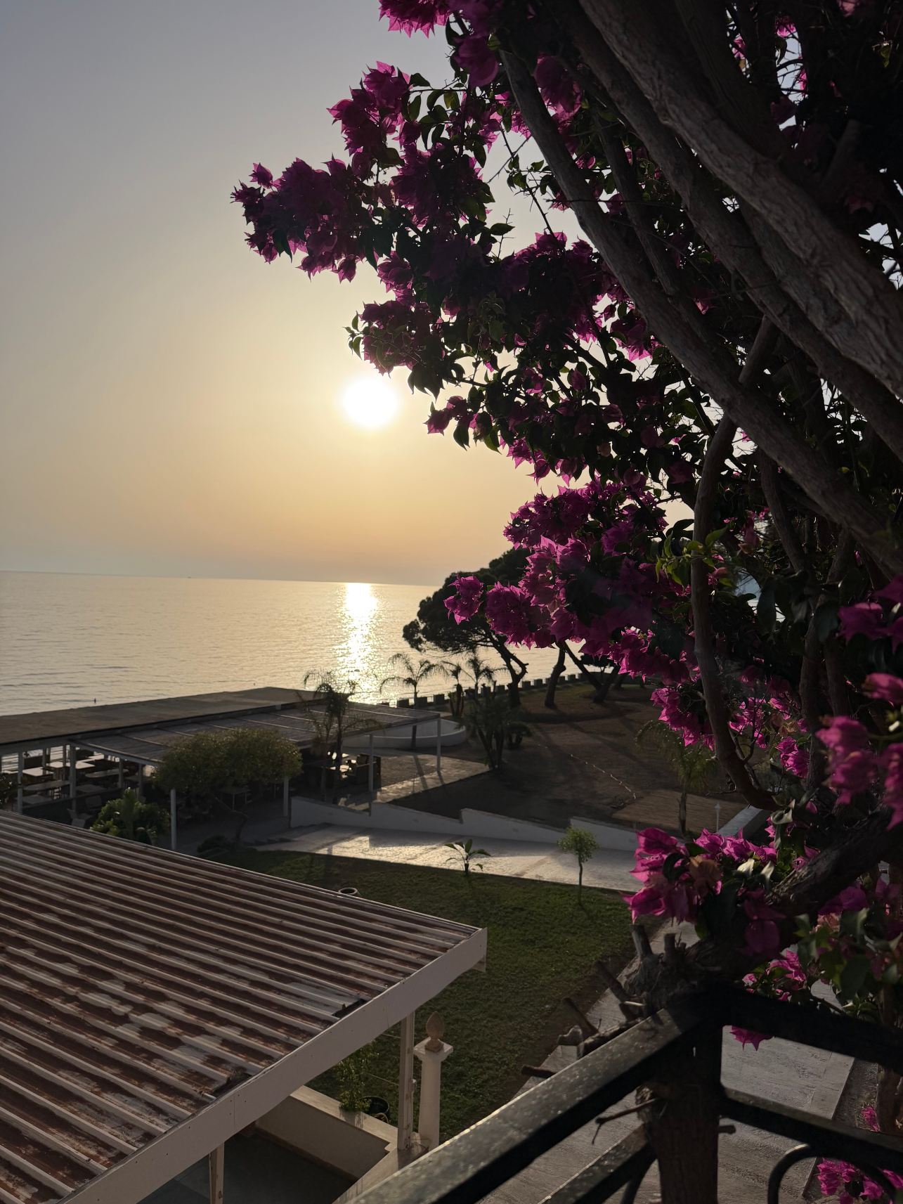 Hotel Villa Sarina-旅行者