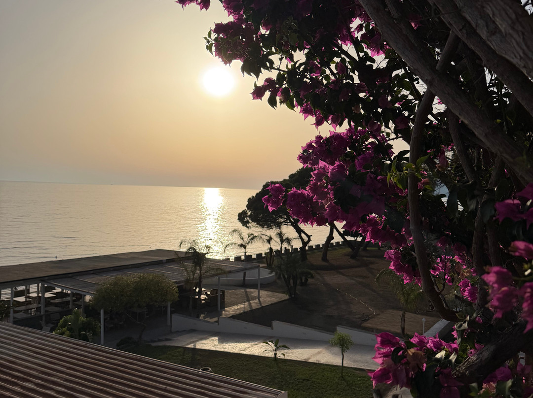 Hotel Villa Sarina主图
