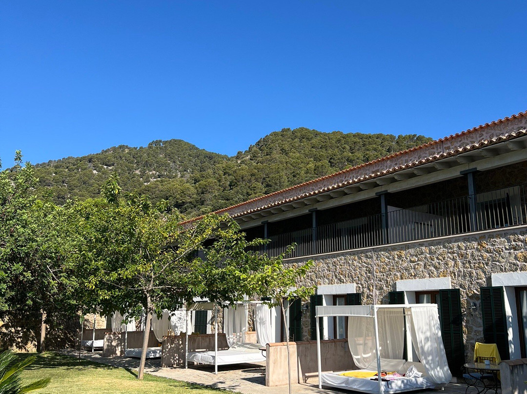 比尼博纳自然公园酒店主图