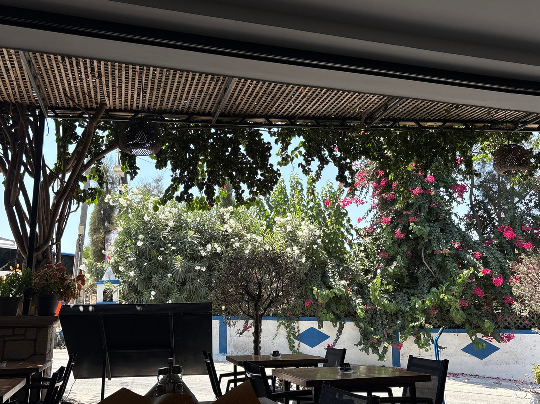 Porto Resto Cafe Bar