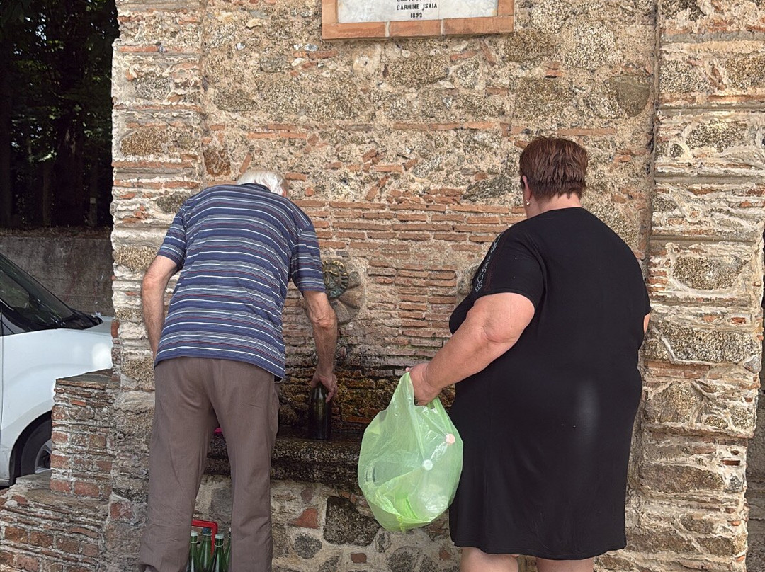 CapoQuad - Escursioni Guidate in Quad-Capo Vaticano必去景点