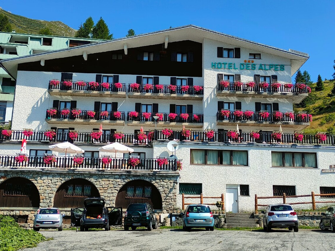 Hotel Des Alpes主图