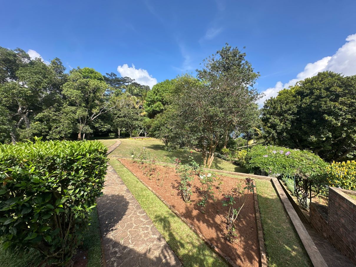 蒙巴顿别墅 · 黛玛系列-旅行者