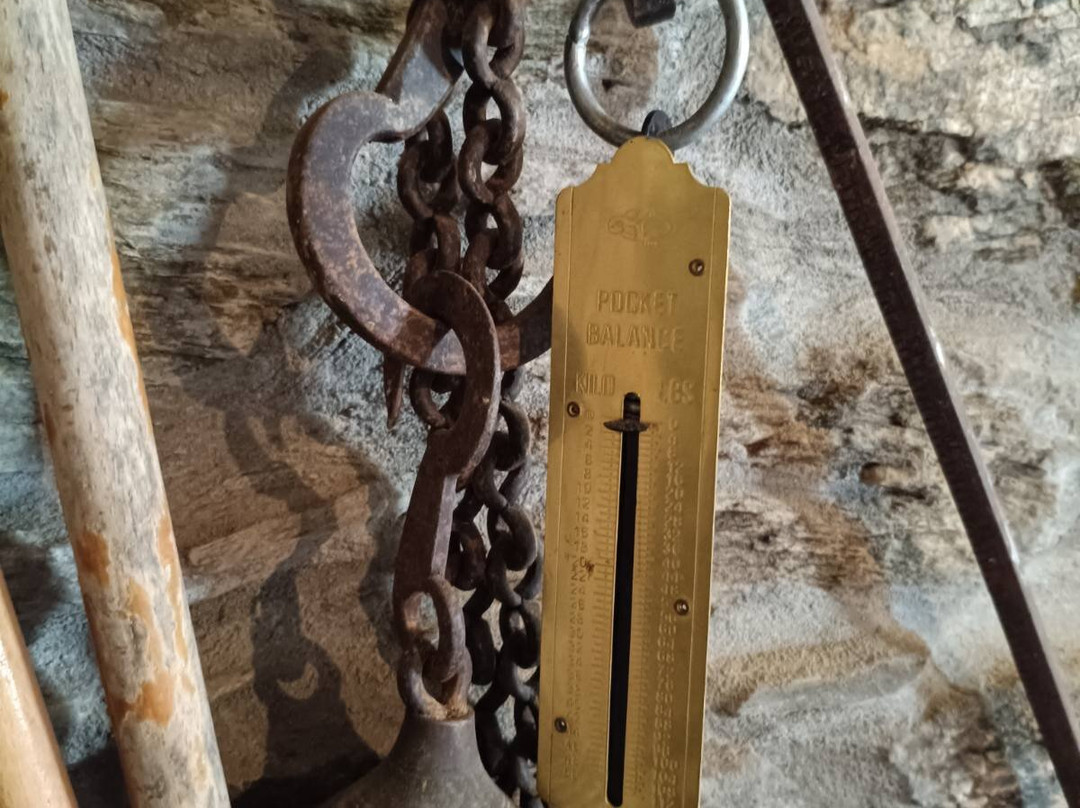 Cyclades Olive Museum-Pitrofos必去景点