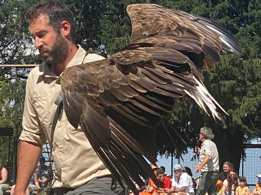 La Volerie des Aigles-Kintzheim必去景点