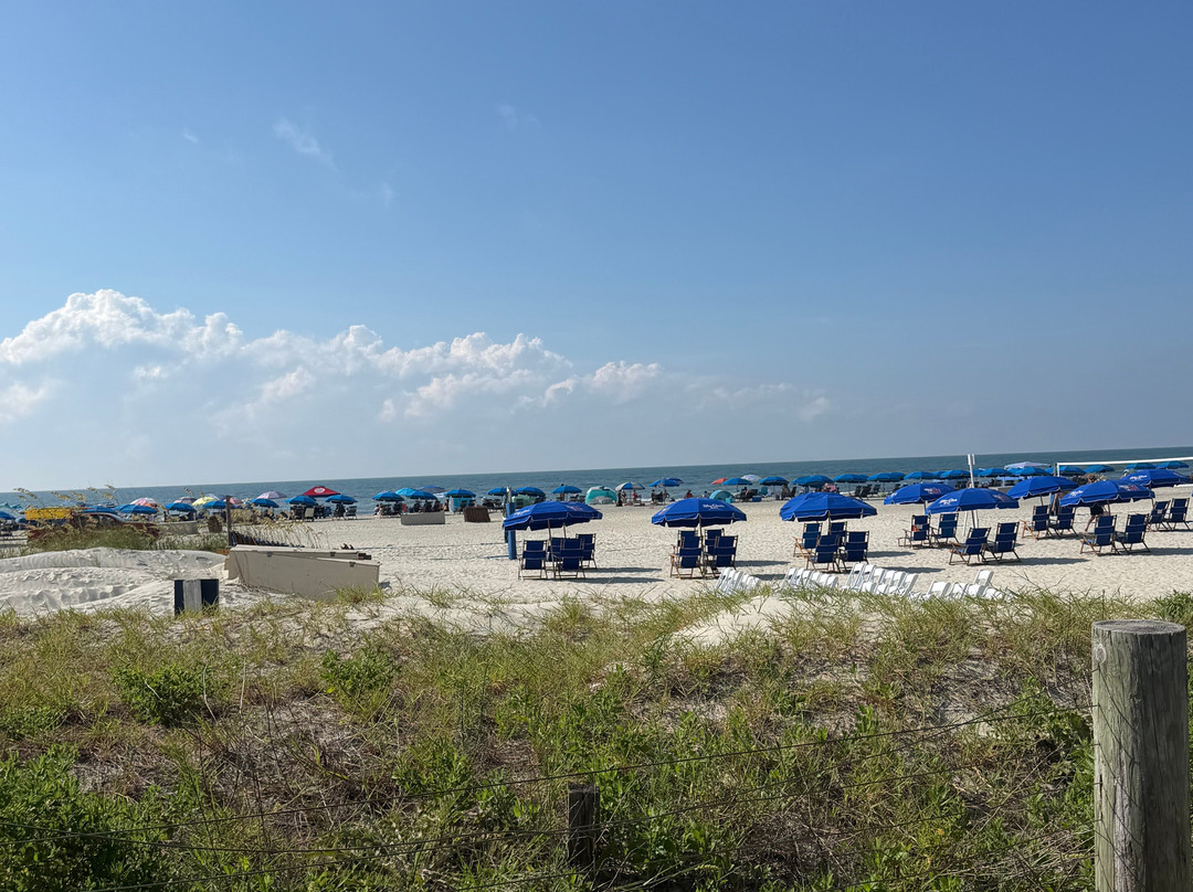 Holiday Inn Resort 希尔顿头岛，海滨主图