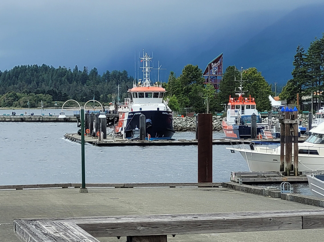 Alberni Pacific Railway-艾伯尼港必去景点