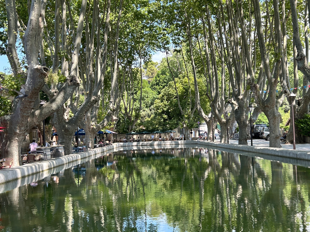 Bassin De L Étang-Cucuron必去景点