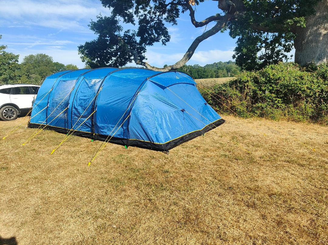 Honeysuckle Homestead主图