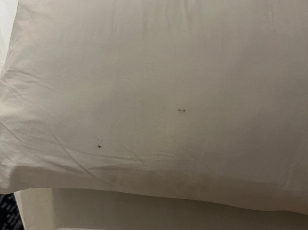 诺富特加拉璜酒店主图