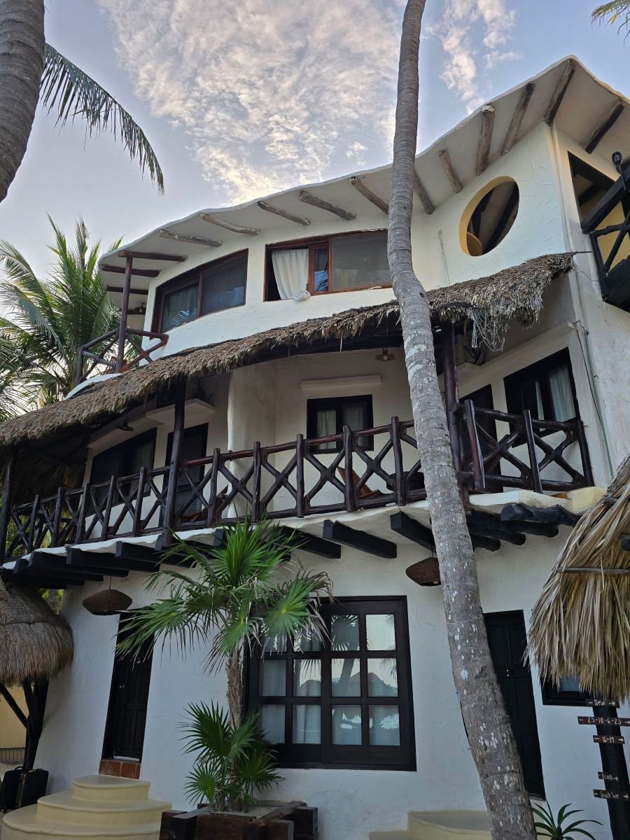 Beachfront Hotel La Palapa-旅行者