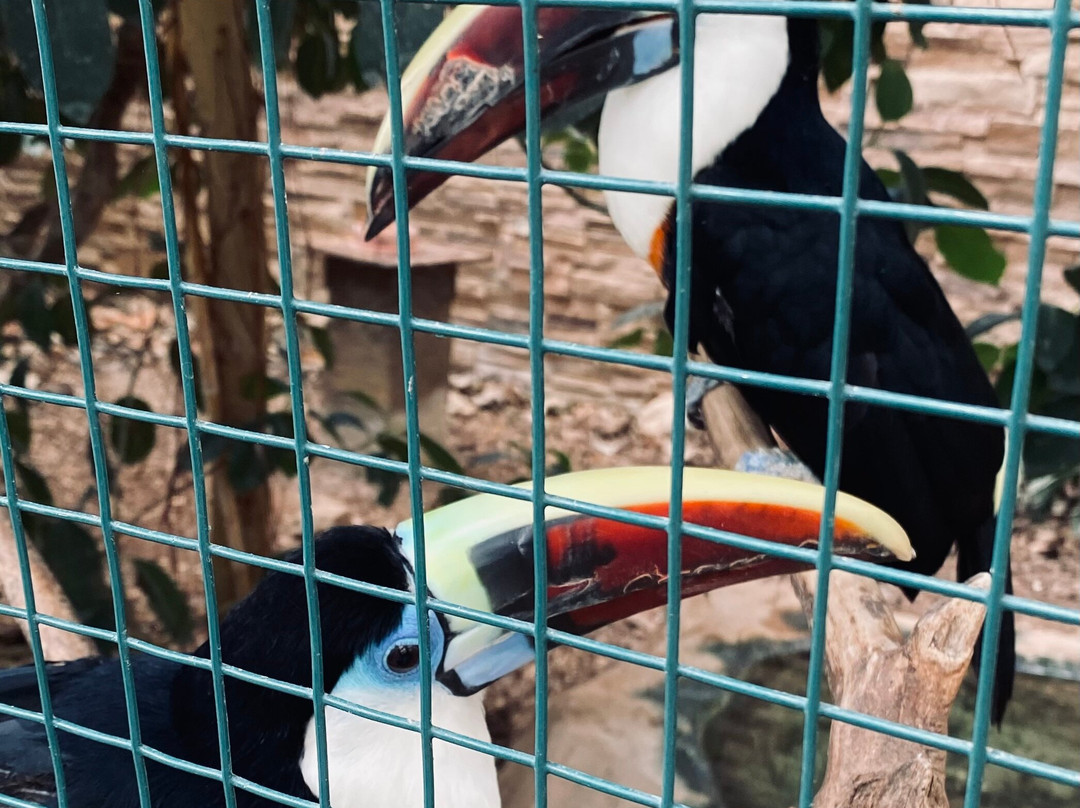Attica Zoological Park-斯巴达必去景点